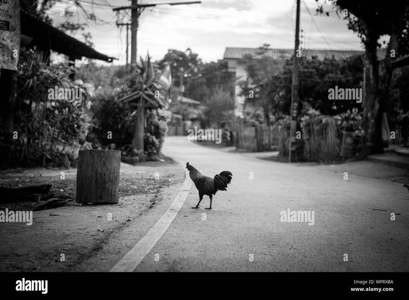 Chicken road españa, chicken road