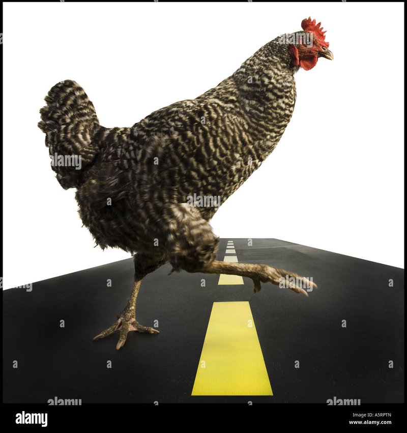 Descubre las Excitantes Sesiones de Juego de Chicken Road en España - overview